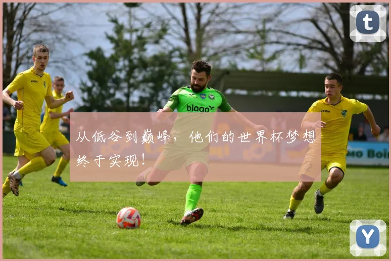 从低谷到巅峰，他们的世界杯梦想终于实现！
